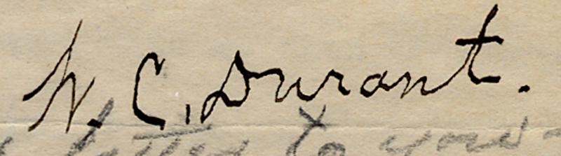 Lot 135 W. C. Durant