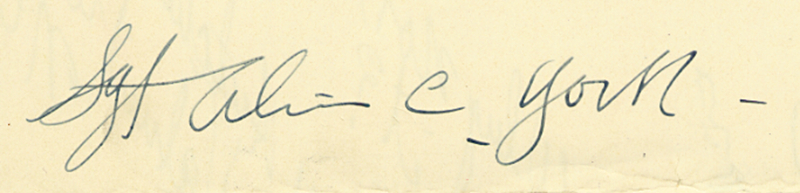 Lot 285 Alvin C. York