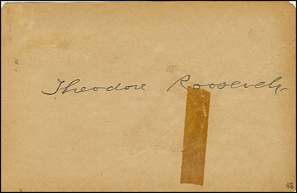 Lot 64 Theodore Roosevelt