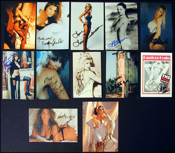 Lot 2019  Yummy Mummies