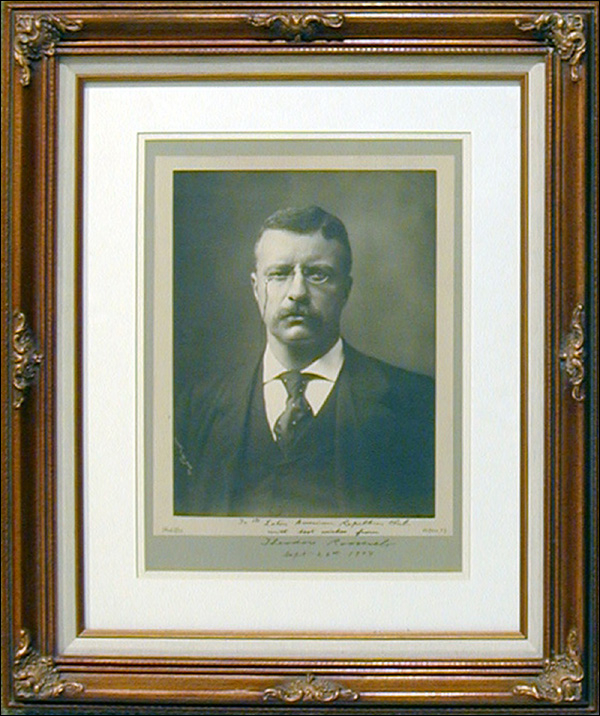 Lot 63 Theodore Roosevelt