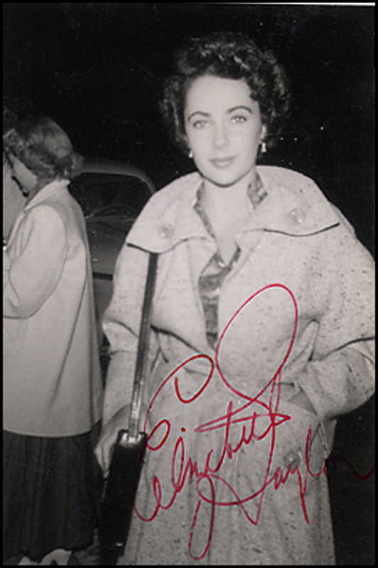 Lot 1993 Elizabeth Taylor