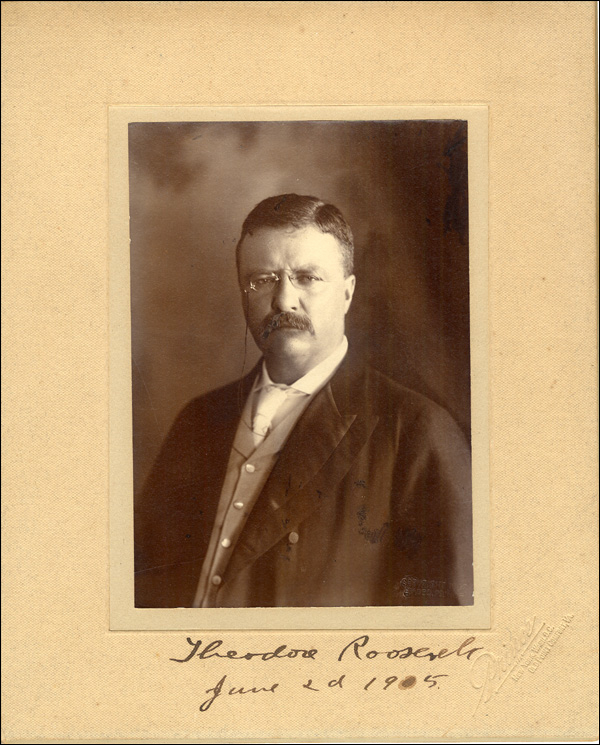 Lot 93 Theodore Roosevelt