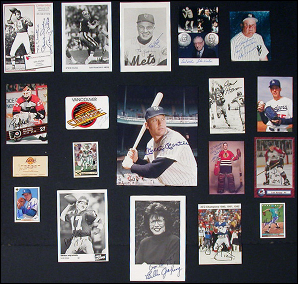 Lot 2572  Sports Galore