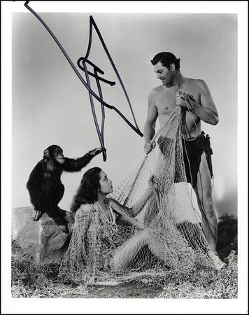 Lot #2127  Tarzan - Image 1