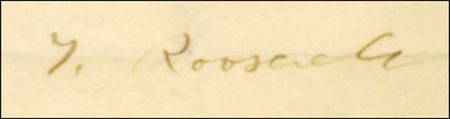 Lot #124 Theodore Roosevelt - Image 1