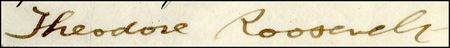 Lot #126 Theodore Roosevelt - Image 1