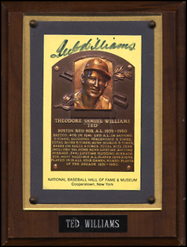Lot 2810 Ted Williams