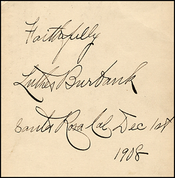 Lot 246 Luther Burbank