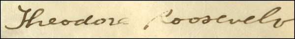 Lot 181 Theodore Roosevelt