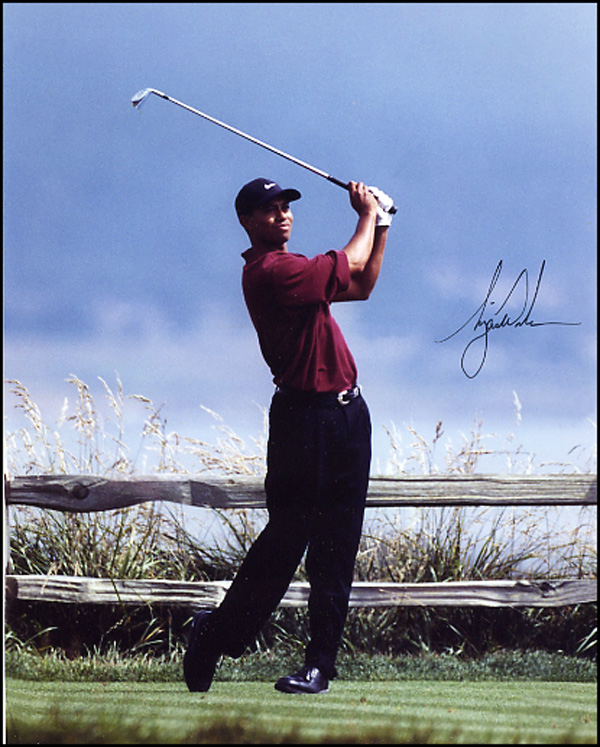 Lot 2821 Tiger Woods