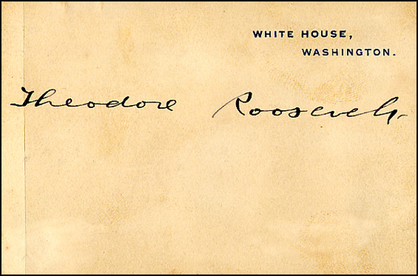 Lot 183 Theodore Roosevelt