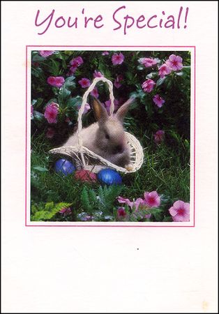 Lot #313 John Gotti - Image 2