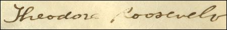 Lot #181 Theodore Roosevelt - Image 1