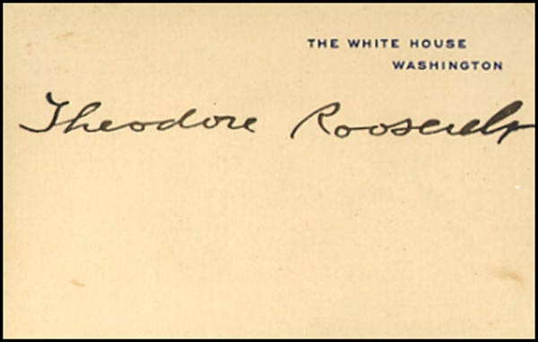 Lot 96 Theodore Roosevelt