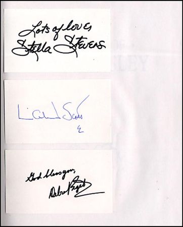 Lot #1071 Elvis Presely: Films of Elvis - Image 3