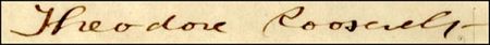 Lot #117 Theodore Roosevelt - Image 1