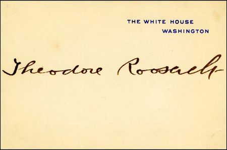 Lot #121 Theodore Roosevelt - Image 1