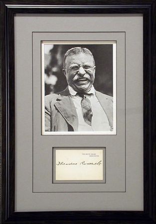 Lot #121 Theodore Roosevelt - Image 2