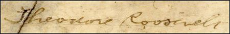 Lot #89 Theodore Roosevelt - Image 1