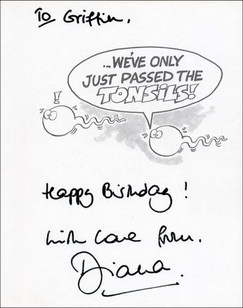 Lot #208 Diana - Image 1