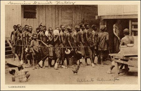 Lot #429 Albert Schweitzer - Image 1