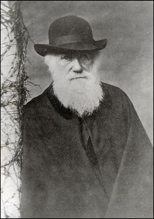 Lot #283 Charles Darwin - Image 2