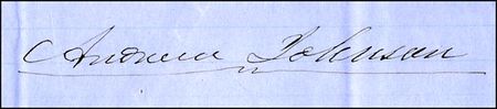 Lot #99 Andrew Johnson - Image 1