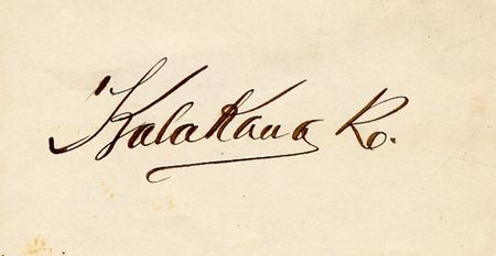 Lot #251 Kalakaua and Kapiolani - Image 2