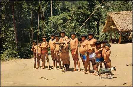 Lot #2544 Natalie Wood - Image 2