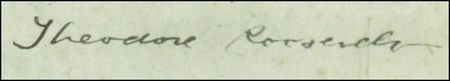 Lot #110 Theodore Roosevelt - Image 1
