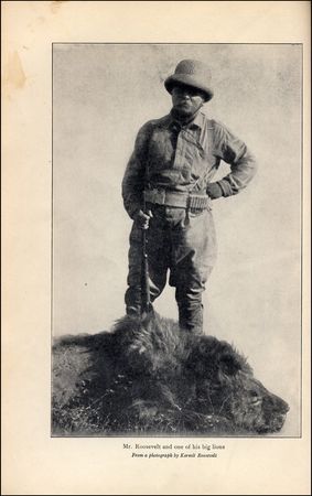 Lot #111 Theodore Roosevelt - Image 3