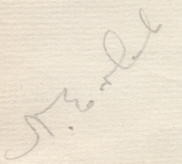 Lot 859 Amelia Earhart