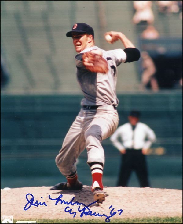 Lot 2744 Boston Red Sox