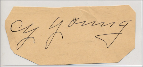 Lot 2991 Cy Young