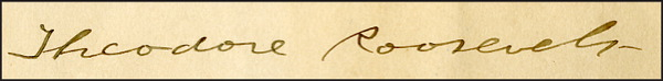 Lot 244 Theodore Roosevelt