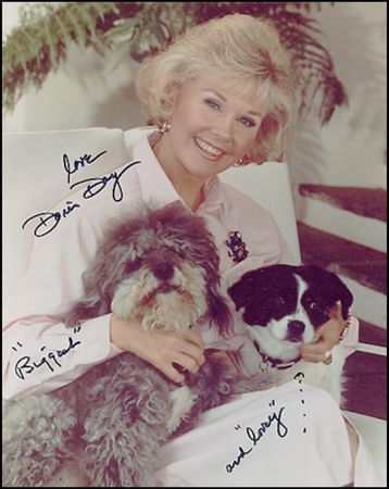 Lot #1589 Doris Day - Image 1