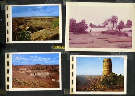 Lot #793 Walt Disney - Image 3