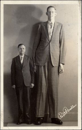 Lot #342 Robert P. Wadlow - Image 1