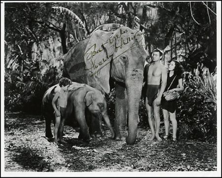 Lot #1729 Tarzan - Image 1