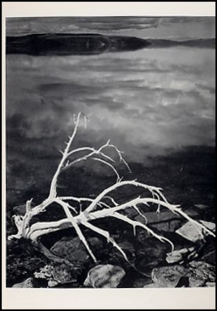 Lot #544 Ansel Adams - Image 1