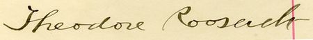 Lot #163 Theodore Roosevelt - Image 1