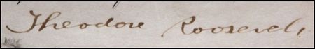 Lot #164 Theodore Roosevelt - Image 1
