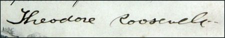Lot #160 Theodore Roosevelt - Image 1