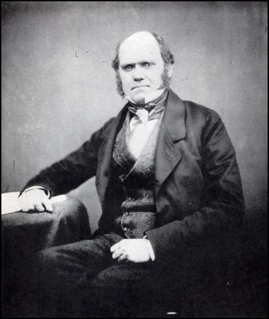Lot #247 Charles Darwin - Image 2