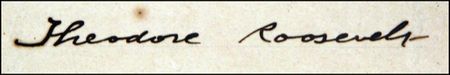 Lot #162 Theodore Roosevelt - Image 1