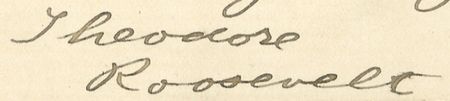 Lot #164 Theodore Roosevelt - Image 1