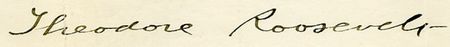Lot #167 Theodore Roosevelt - Image 1