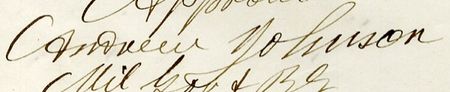Lot #95 Andrew Johnson - Image 1