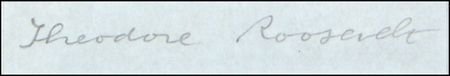 Lot #176 Theodore Roosevelt - Image 1